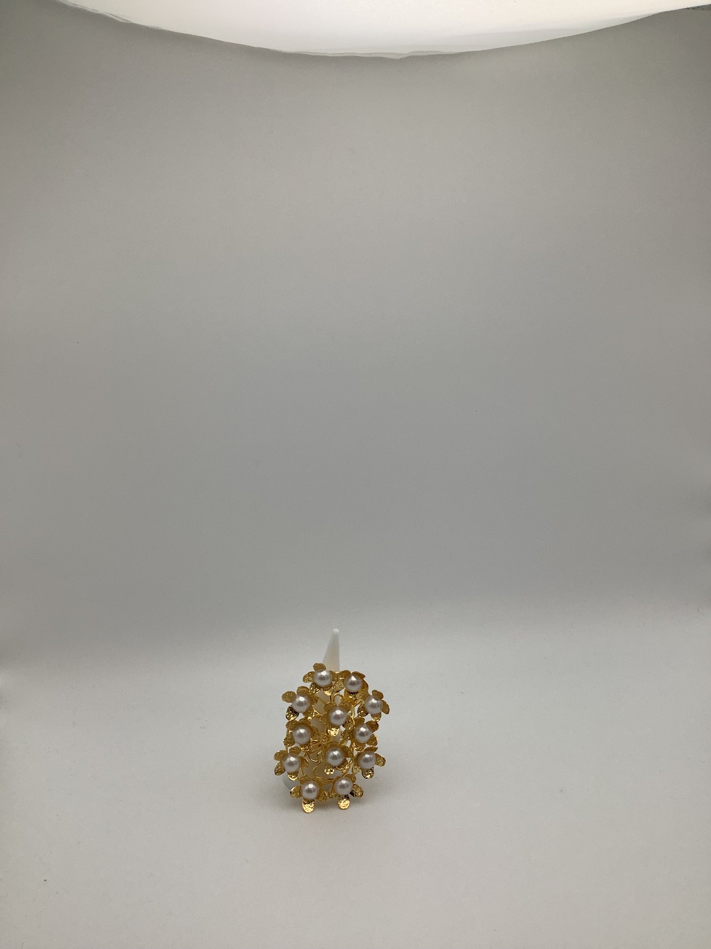 Anillo Aniversario