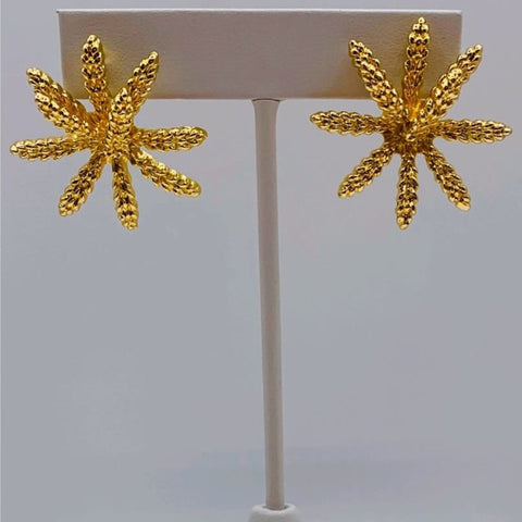 Aretes Estrella