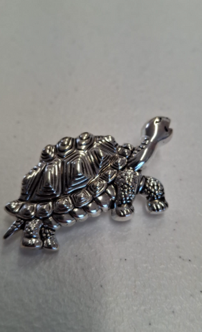 Tortuga Terrestre