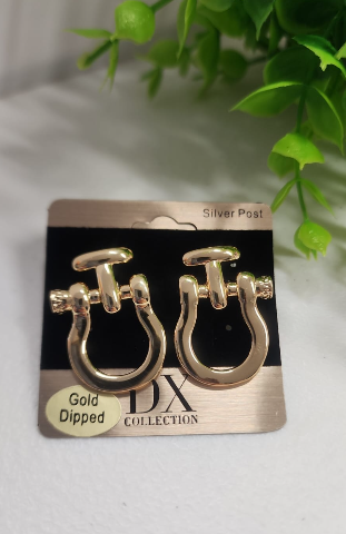 Aretes #730