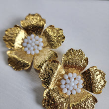A-2012-24K-Aretes Surfinia
