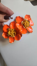 Aretes Sassy