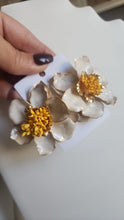 Aretes Sassy