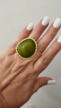 Anillo Hongo