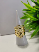 Anillo A20