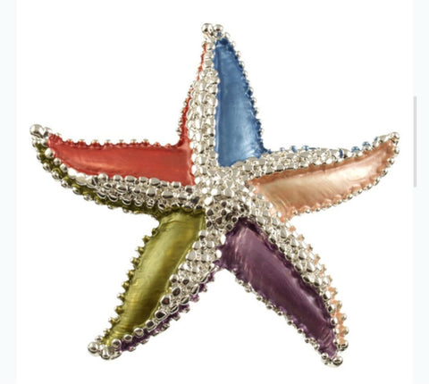 855-4-Broche con Iman Estrella de Mar Colores