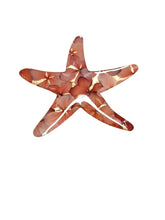 Prendedor de estrella