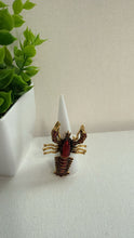 Anillos Insecto