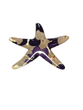 Prendedor de estrella